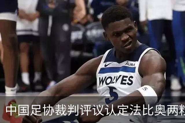 中国足协裁判评议认定法比奥两粒进球均为好球
